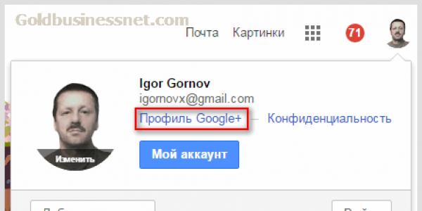 Social network Google Plus – registration, login