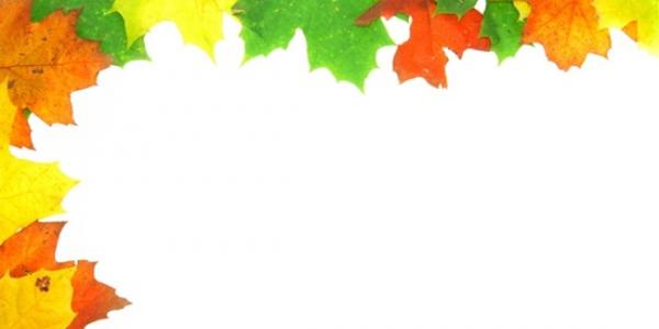 Wide-format universal templates “Autumn Frame”